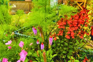 Flowers planted by bulb